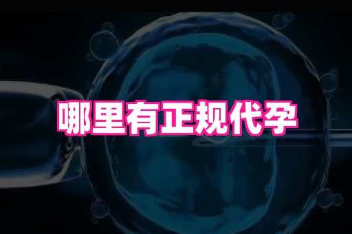 深圳助孕网站 2