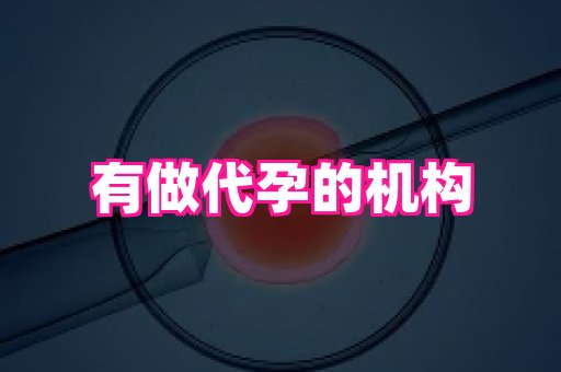 深圳助孕网站 3