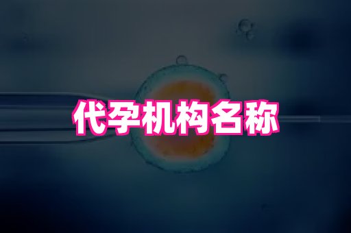 深圳助孕网站 4